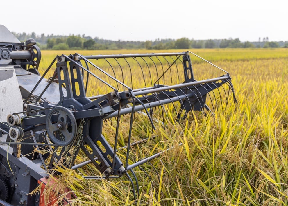 agriculture